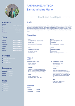 cv priview